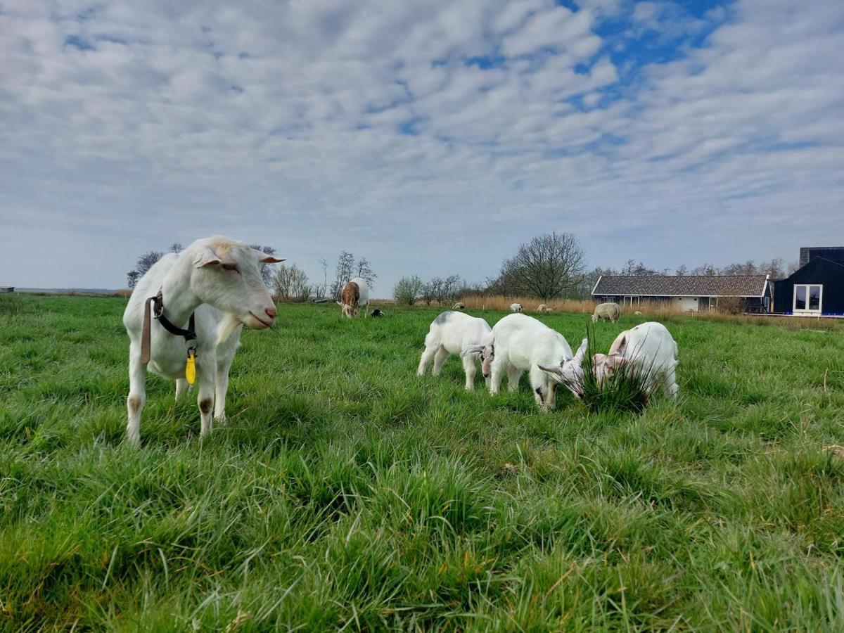 شقة Amsterdam Countryside Met Airco ,Geweldig Uitzicht, Luxe Keuken,Wasmachine,Droger,Gratis Fietsen Den Ilp المظهر الخارجي الصورة