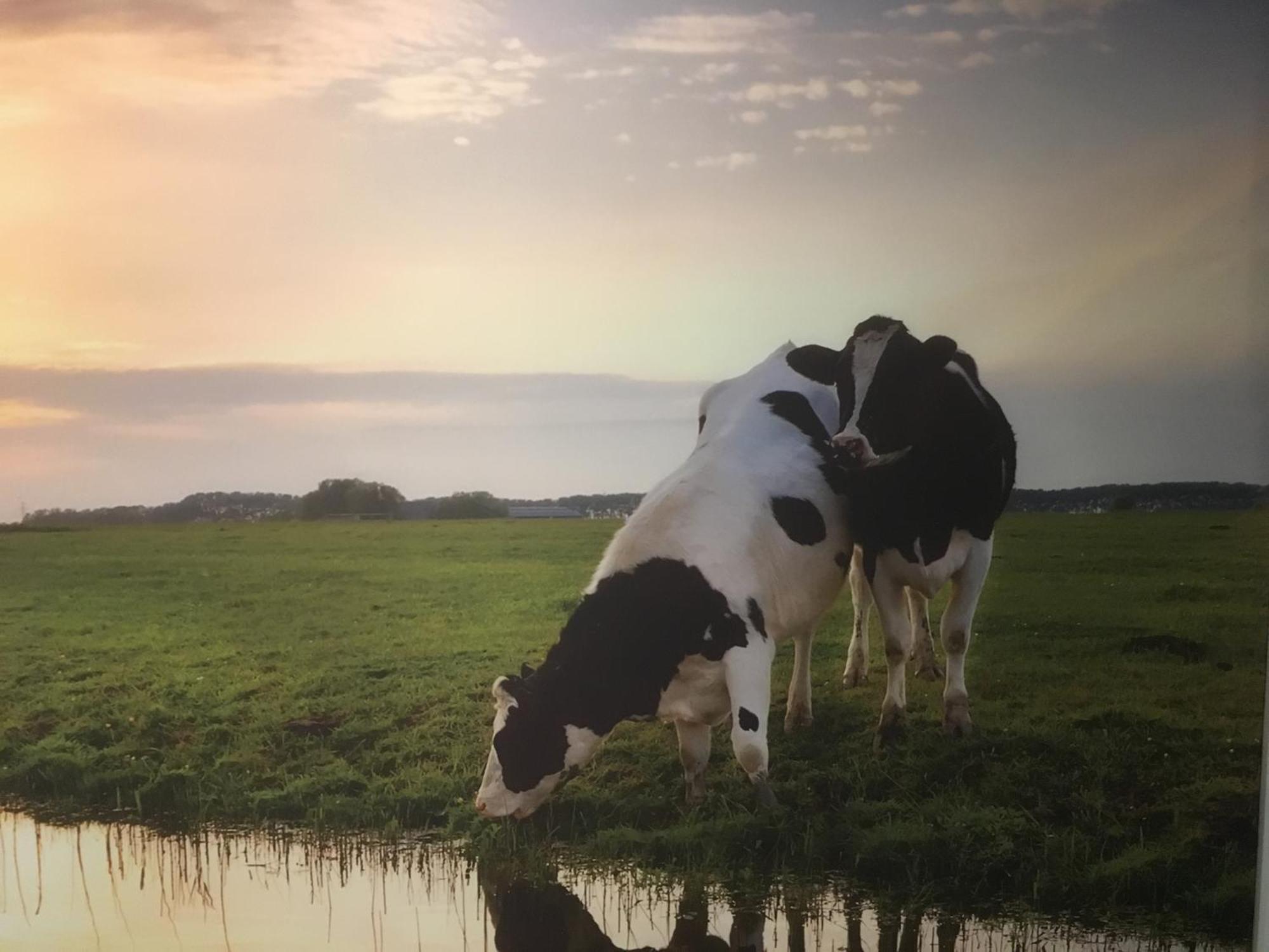 شقة Amsterdam Countryside Met Airco ,Geweldig Uitzicht, Luxe Keuken,Wasmachine,Droger,Gratis Fietsen Den Ilp المظهر الخارجي الصورة