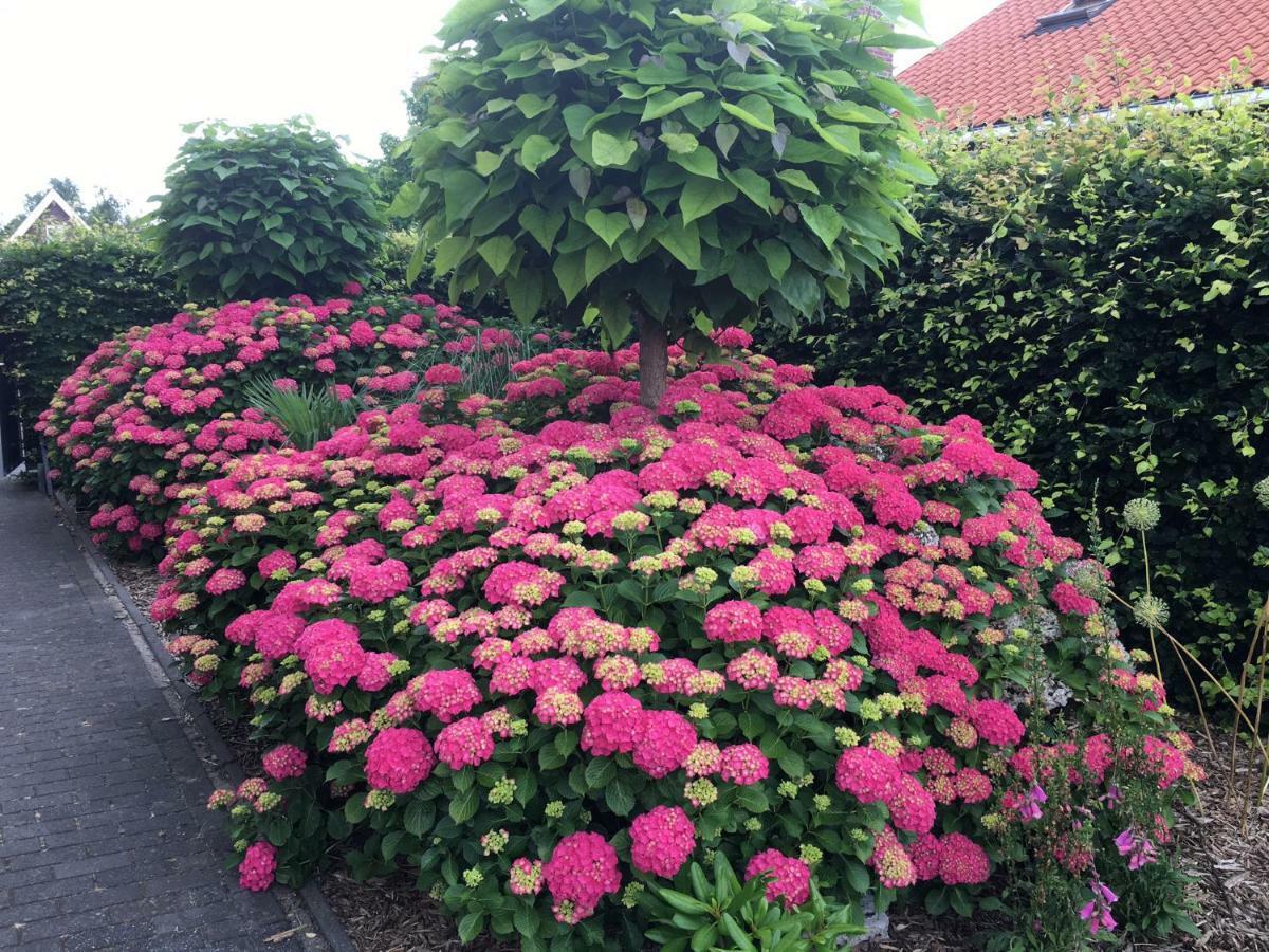 شقة Amsterdam Countryside Met Airco ,Geweldig Uitzicht, Luxe Keuken,Wasmachine,Droger,Gratis Fietsen Den Ilp المظهر الخارجي الصورة